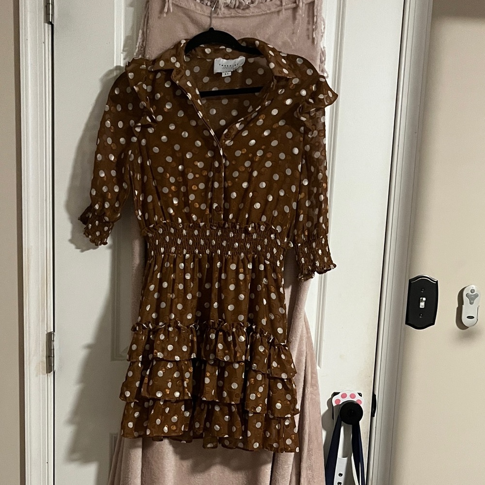 The Shirt by Rochelle Behrens Brown and White Polka Dot dress